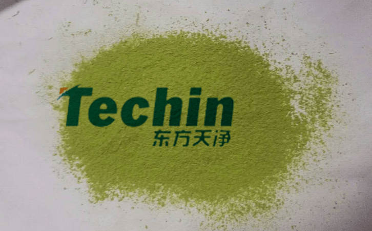 午夜激情视频网站後的植物葉片